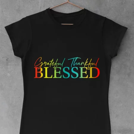 Ladies T-Shirt LTS287